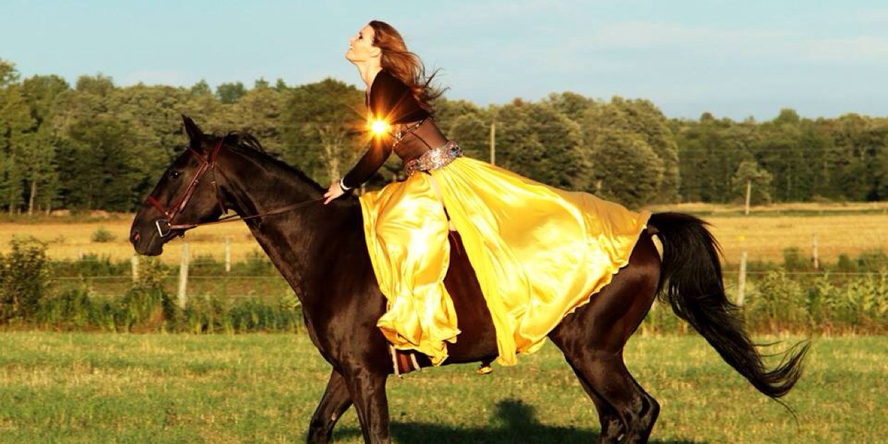 CassandraFoxZ's profile banner image