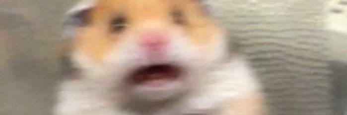 _M4N_G0's profile banner image