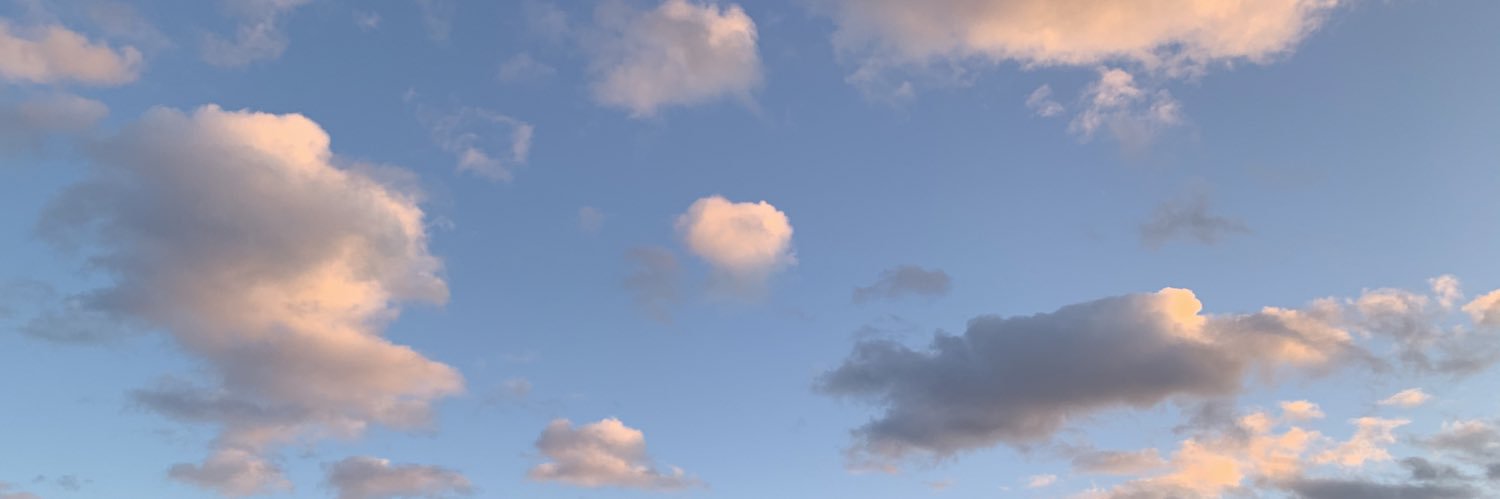 punctpunc's profile banner image