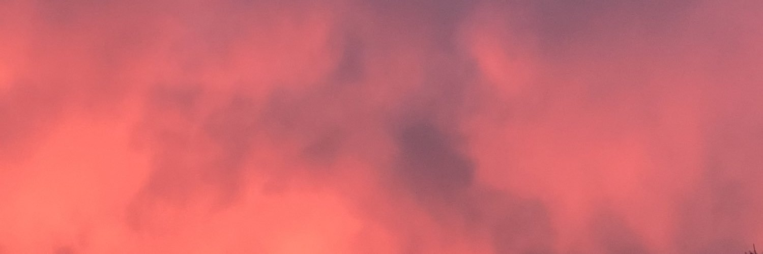 Nikita Dubko banner