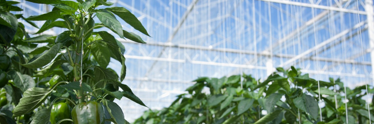 Grow_Save's profile banner image