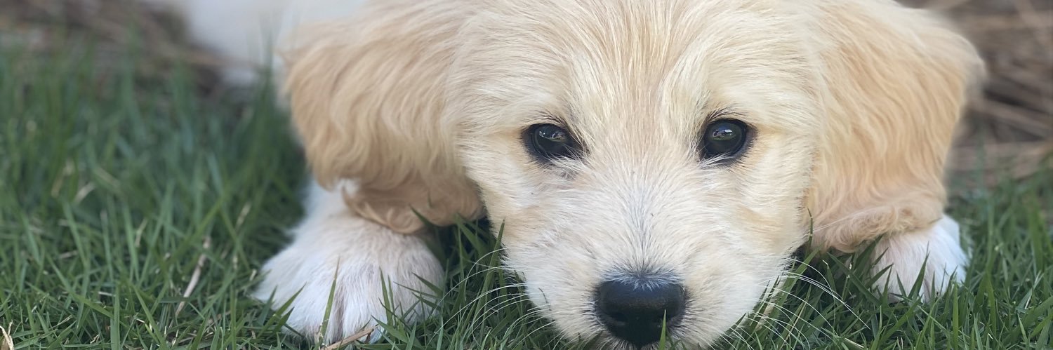 lilbake25's profile banner image