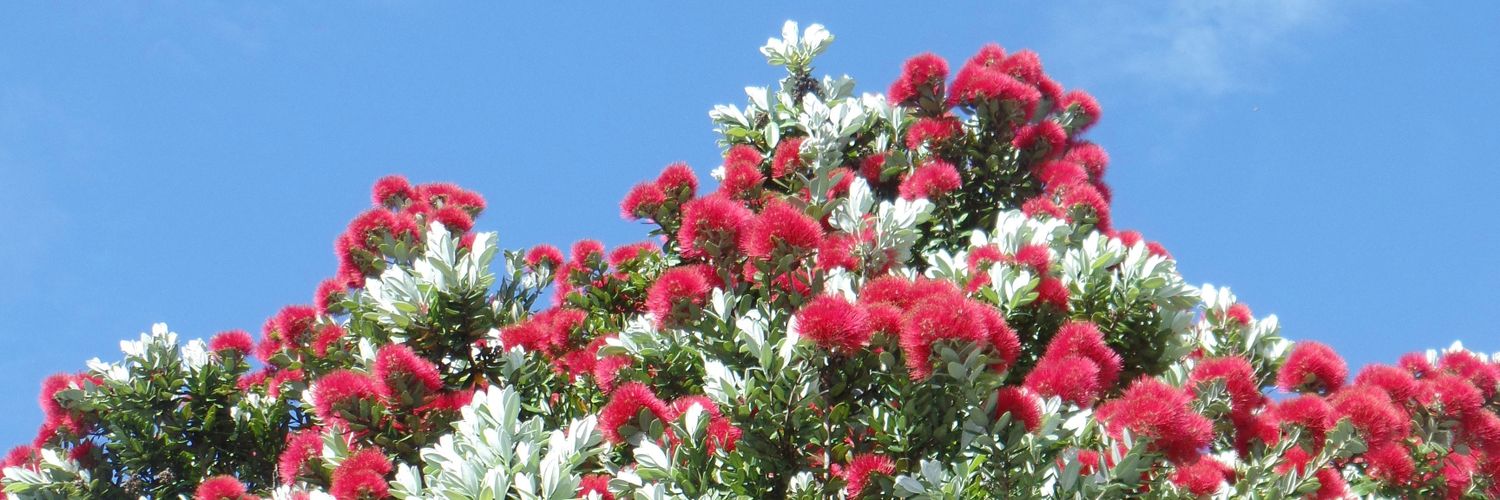 Dr Mariolina Salio 😷💙 💜 she/her banner