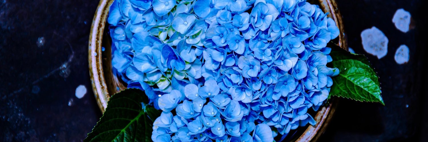 __nam065's profile banner image