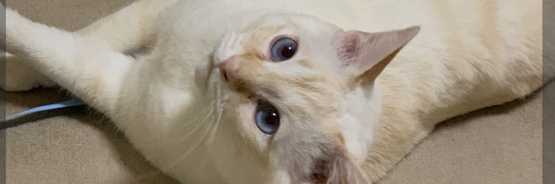 マナボウ banner