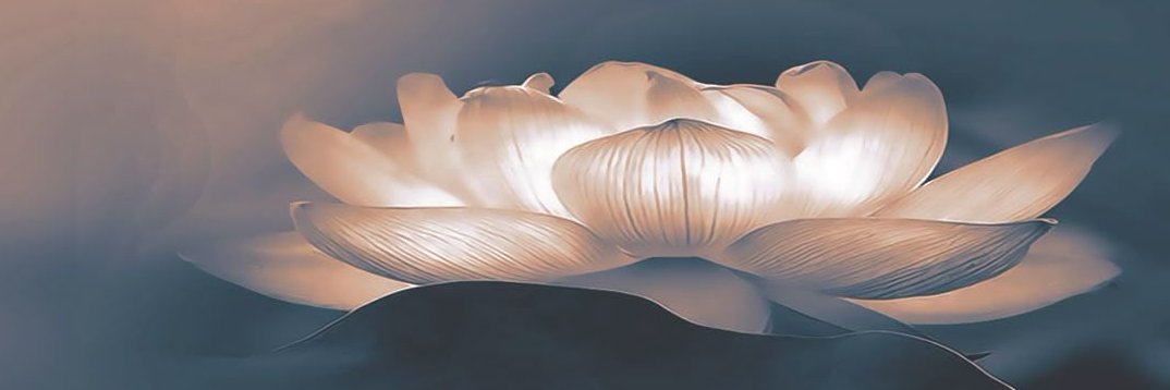 Holly MollyXo banner