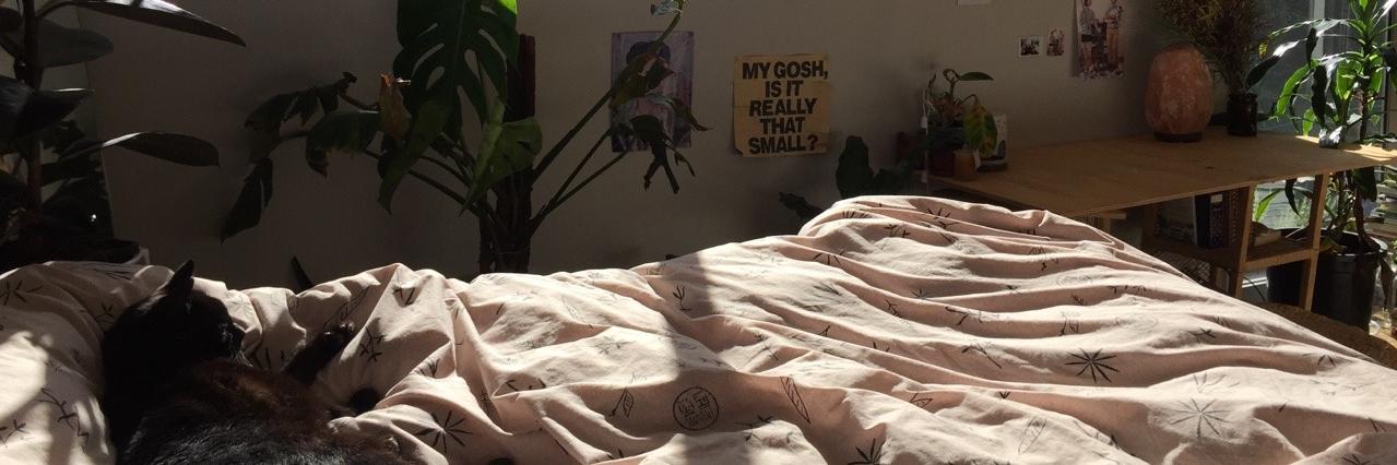 MaxReedzo's profile banner image