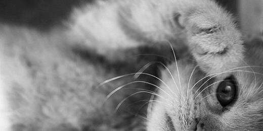 Pattsrrr's profile banner image