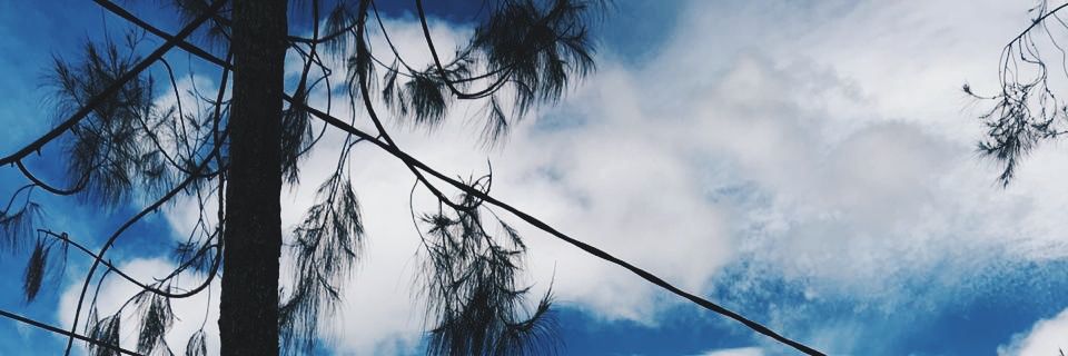 todayhariini's profile banner image