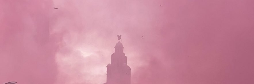 R1C3Y_95's profile banner image