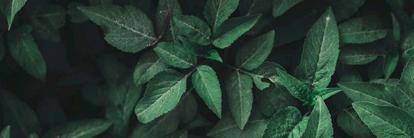 dattwell23's profile banner image