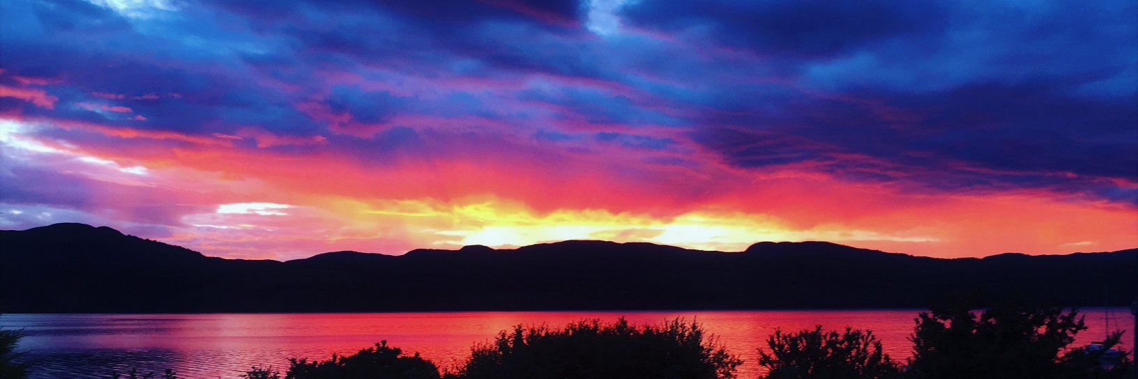 David McCubbin banner