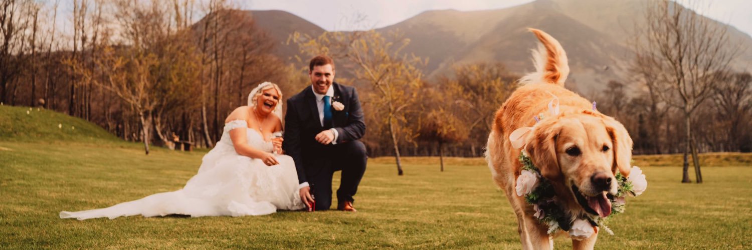 mia_lee__'s profile banner image