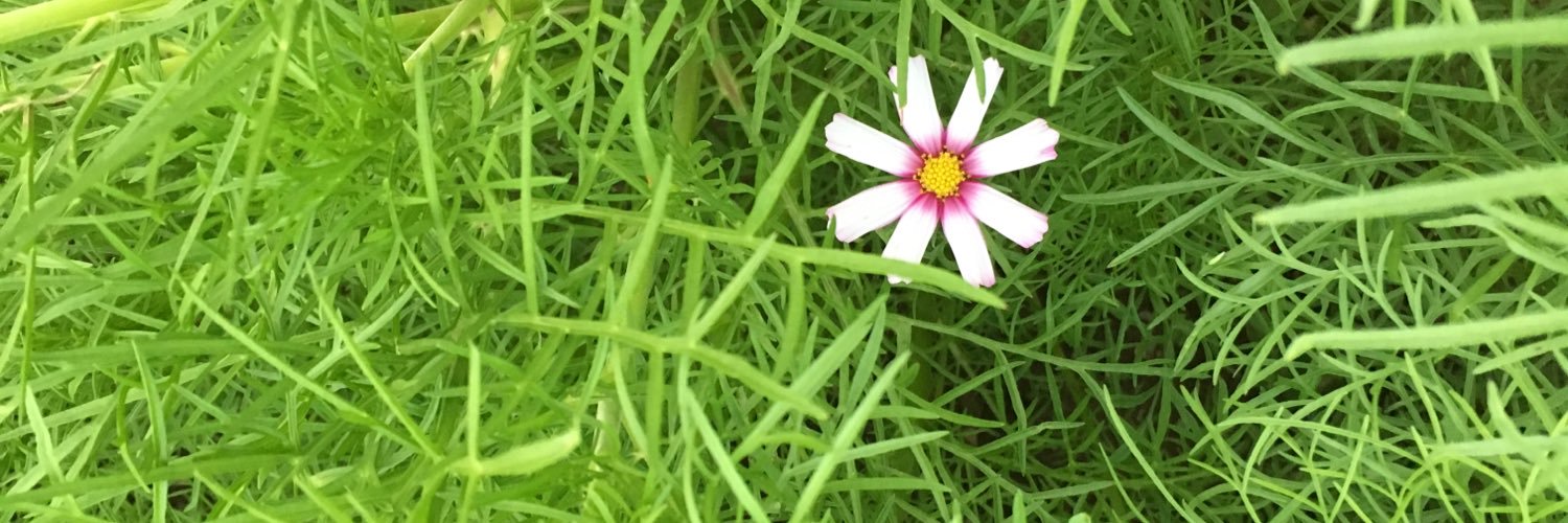 kladdison's profile banner image