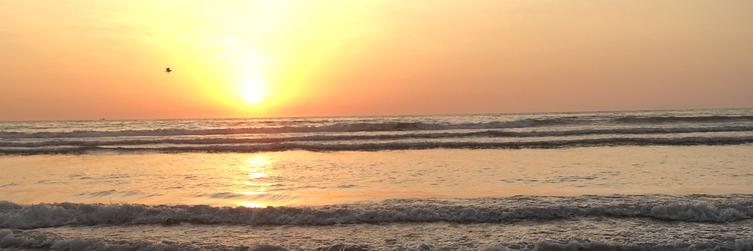 Ivonnemoce's profile banner image