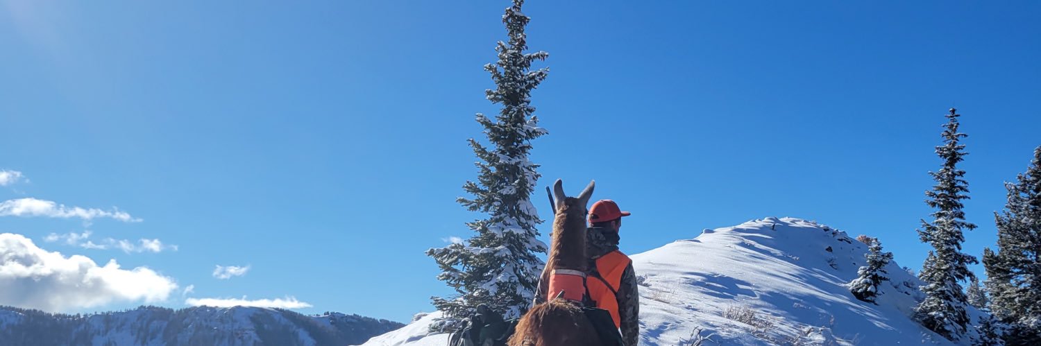 dkopman44's profile banner image
