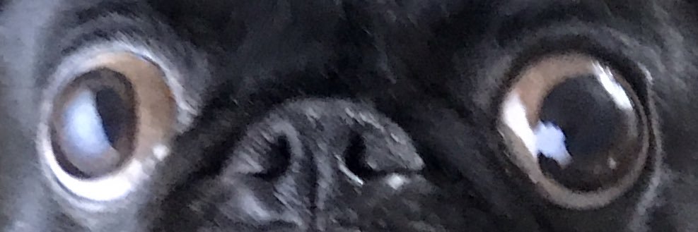 tgrassy's profile banner image