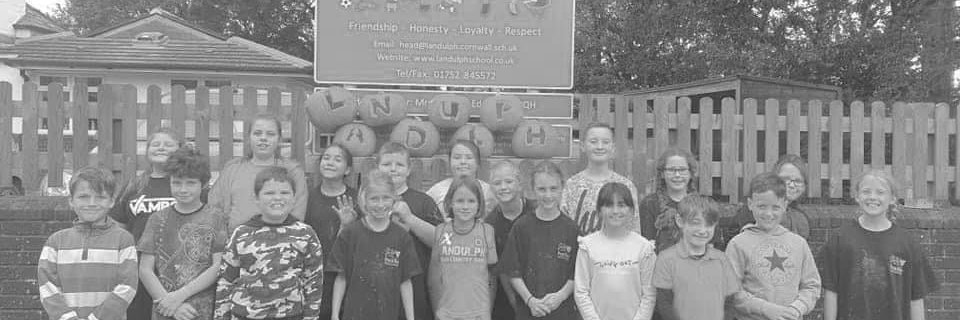 Landulph School banner