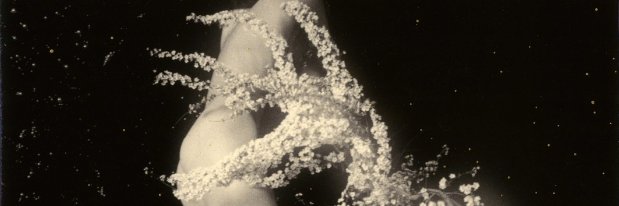 lessmys3lf's profile banner image