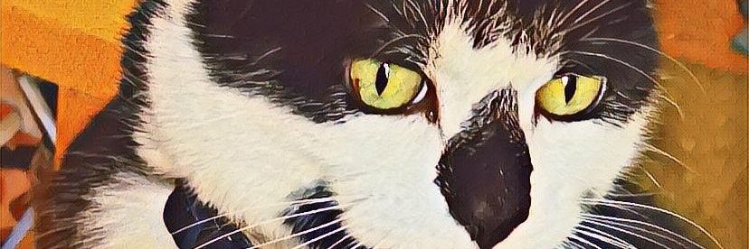 Baba, Nalu & Sanji banner