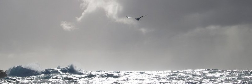 stewartIsland's profile banner image
