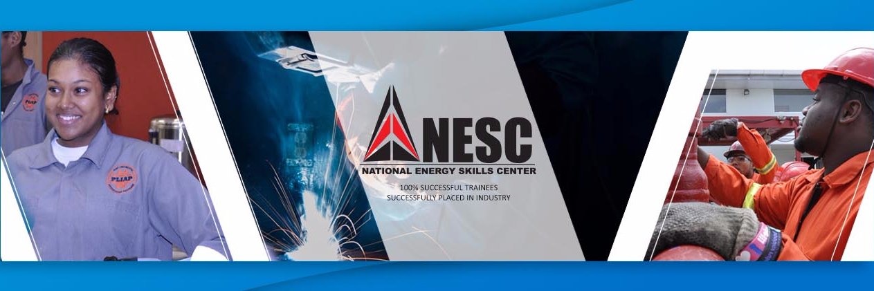 NESC banner