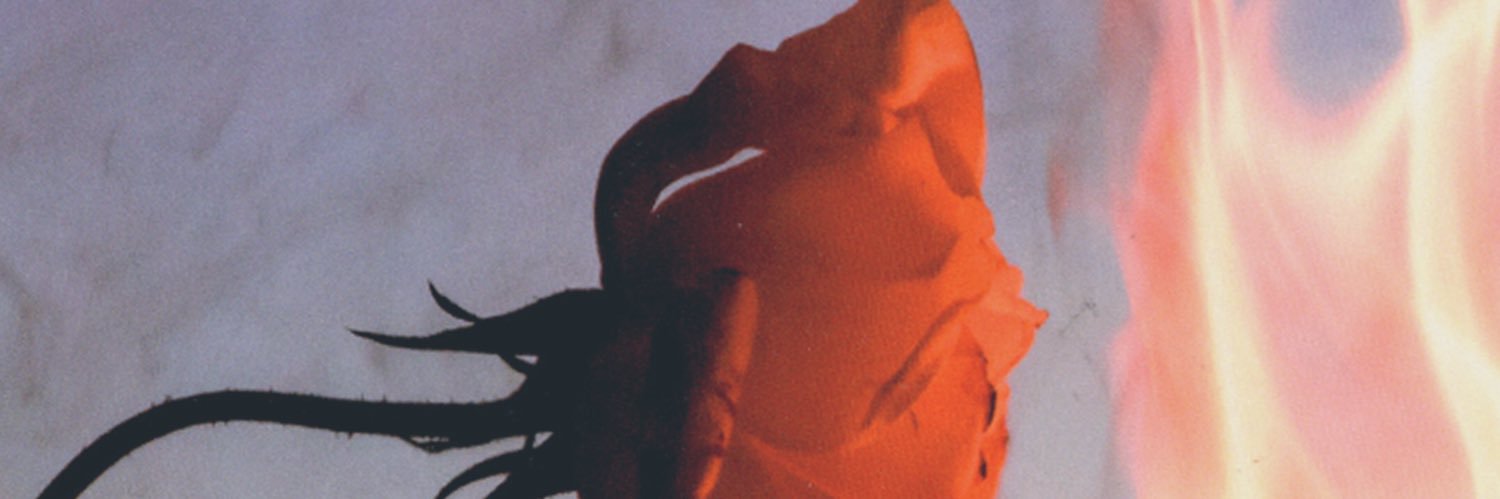 johnnystimson's profile banner image