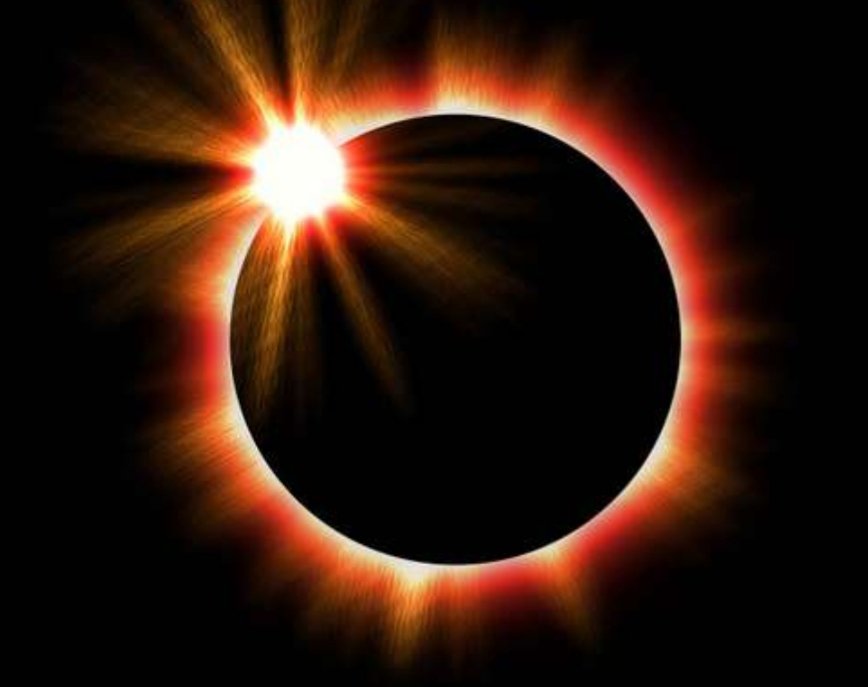 Michelle Perry banner