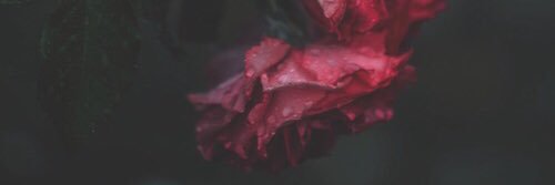 MirandaaHM's profile banner image
