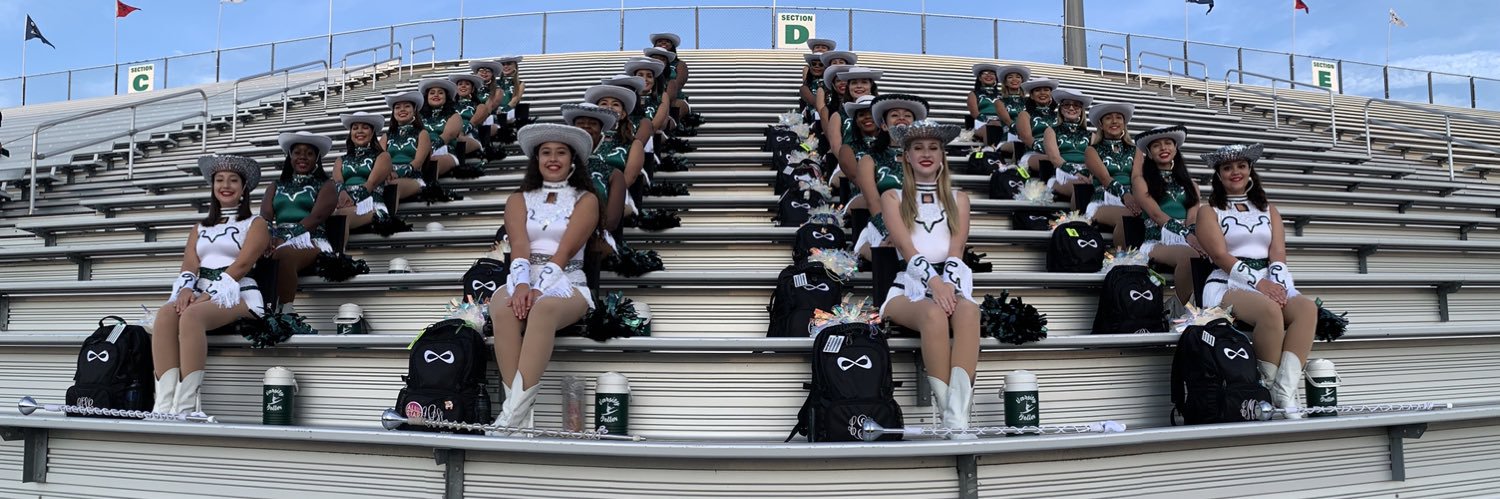 Varsity Belles banner
