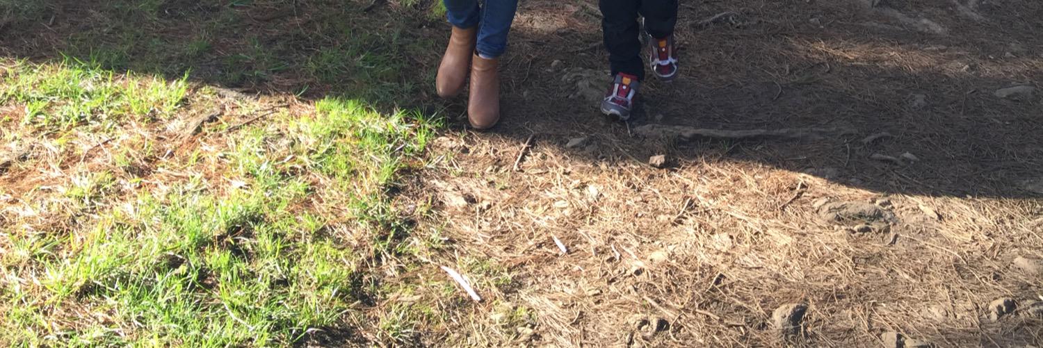 Naomi Gorringe banner