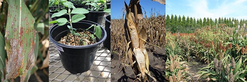 Santiago Mideros banner