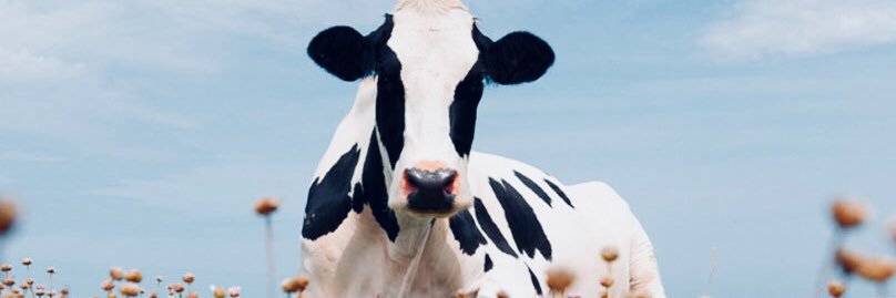lamourlamore's profile banner image