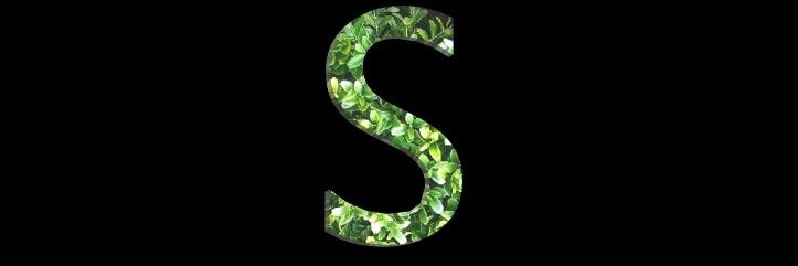 balas7828's profile banner image