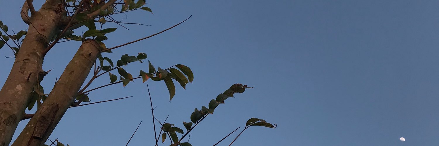 alienababa's profile banner image