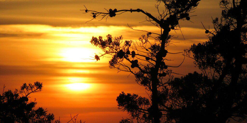Francisco Gallardo Perogil banner