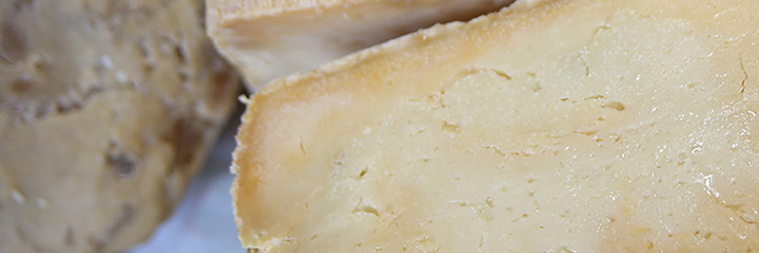 FormaggioIT's profile banner image