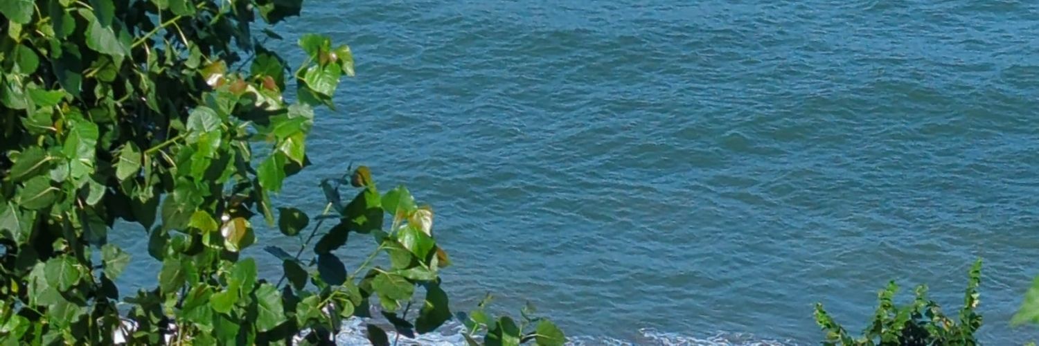 kostka11's profile banner image