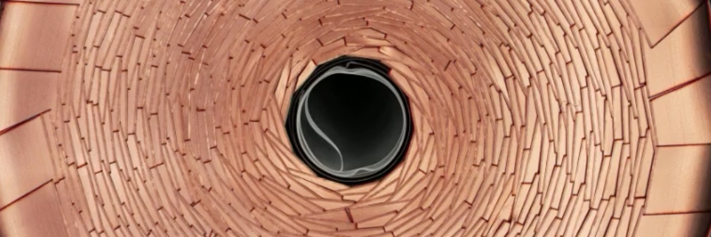 BEVs for Europe banner