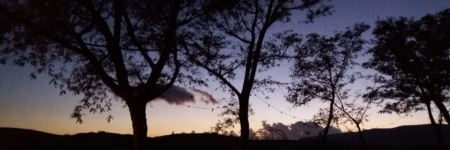 Zoa_Noe's profile banner image
