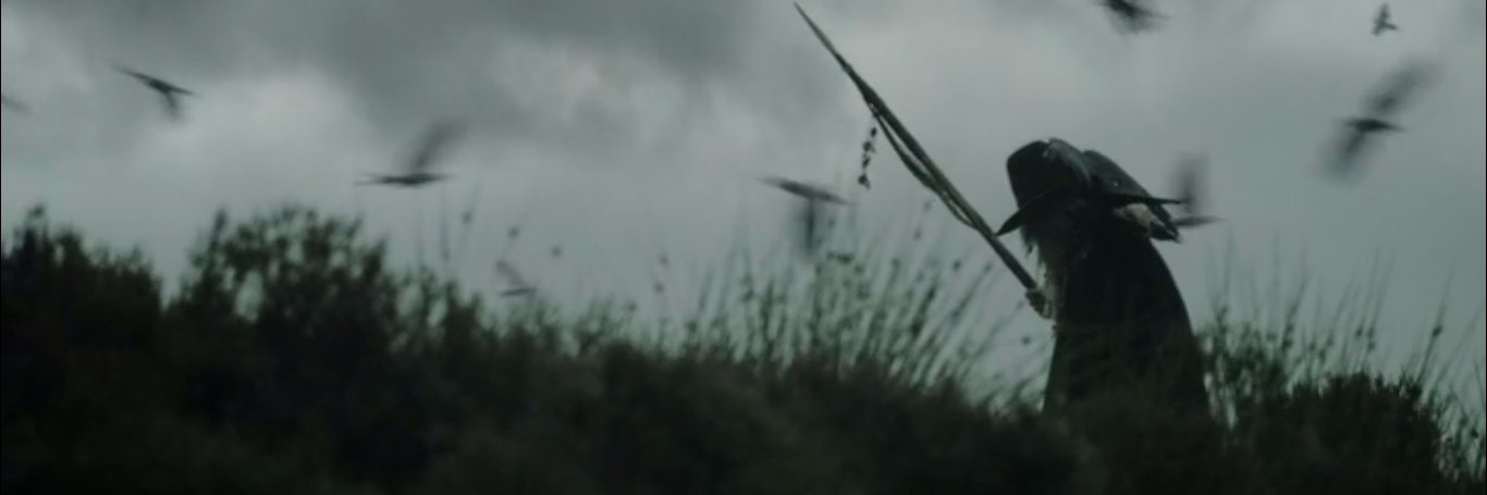 Crítico de Anedotas. banner