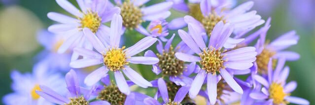 ruli0731's profile banner image