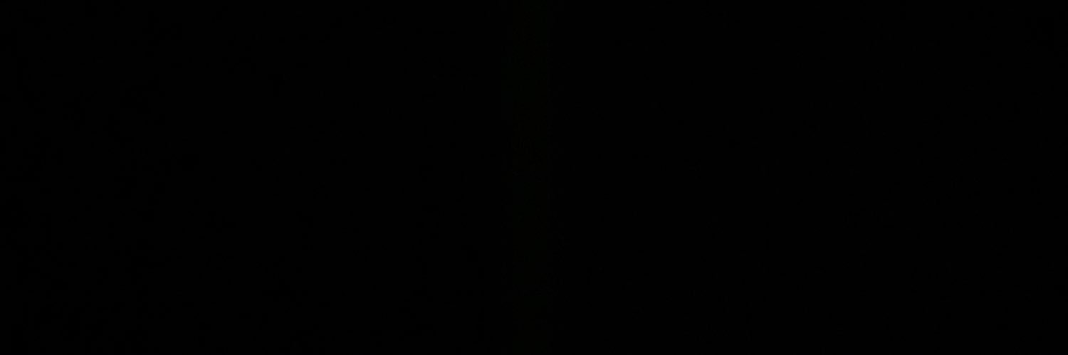 qeelte's profile banner image