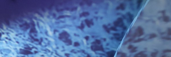 lieben Profile Banner