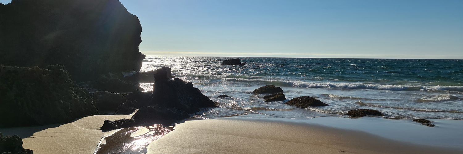 acalpena's profile banner image