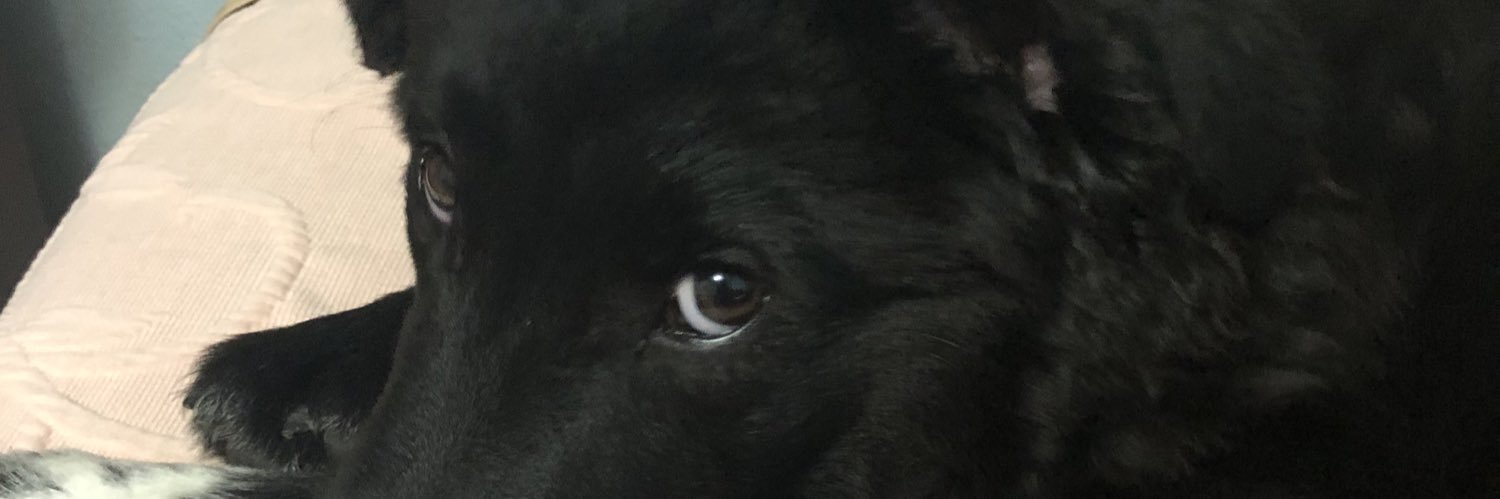 JoeyIske's profile banner image