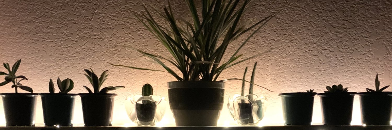 lorainee69's profile banner image