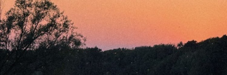 elffikoo's profile banner image