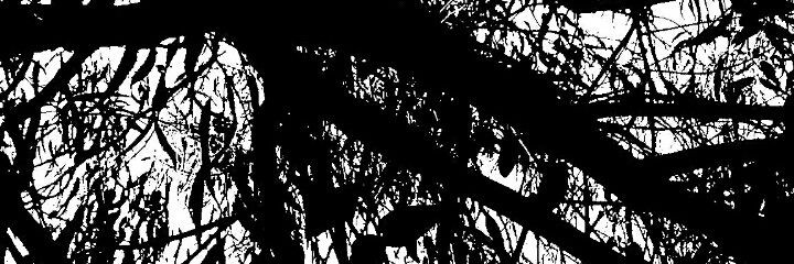 Janina_Mio's profile banner image