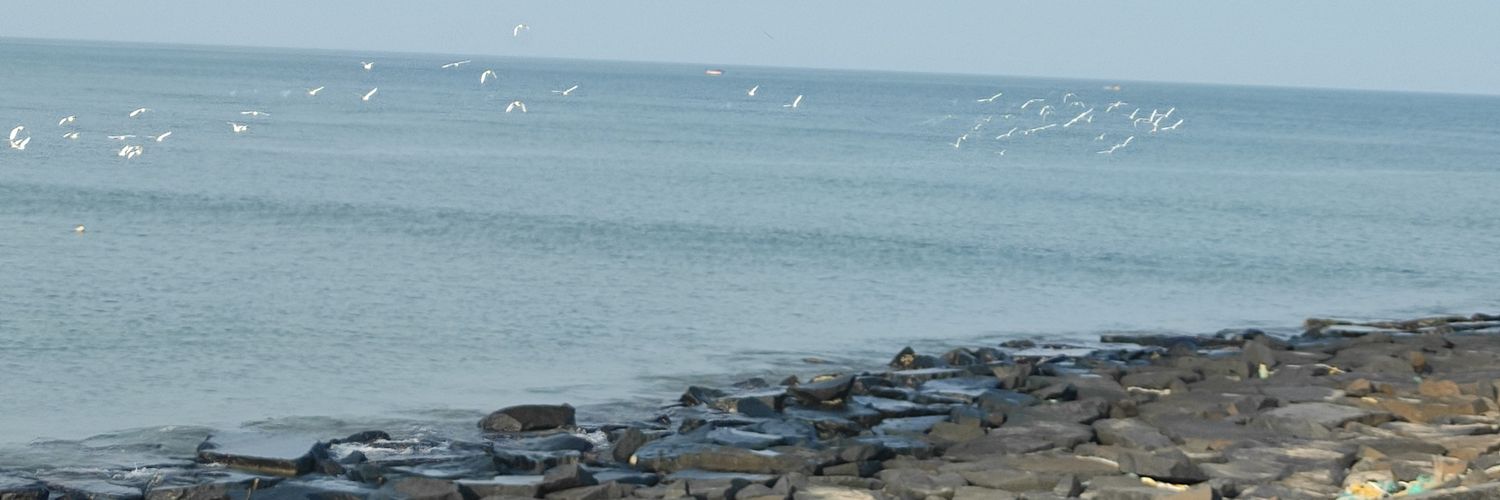 cheenu_13's profile banner image